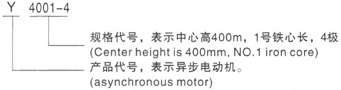 西安泰富西玛Y系列(H355-1000)高压YE2-225M-6三相异步电机型号说明